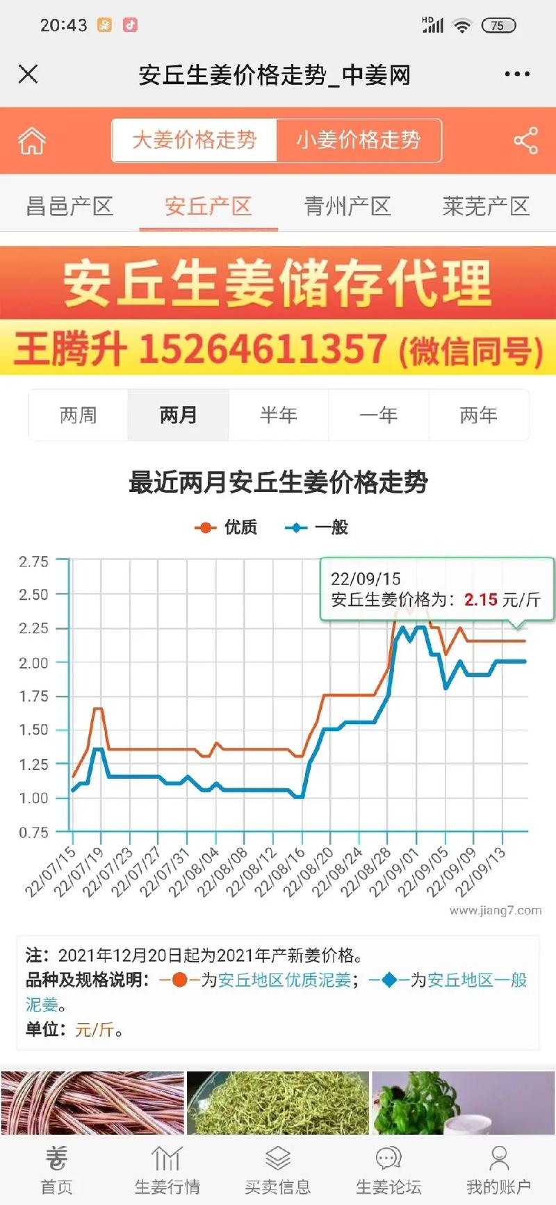 2025年大姜价格会涨还是会跌?-图2 2025年大姜价格会涨还是会跌?-图2
