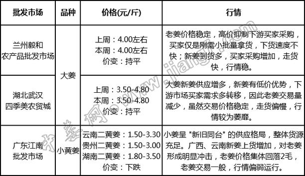 2025年大姜价格会涨还是会跌?-图1 2025年大姜价格会涨还是会跌?-图1