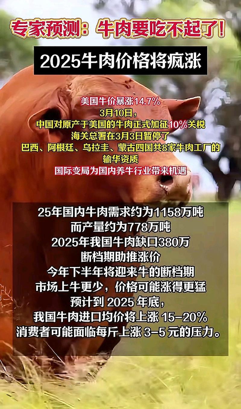 2025年牛肉价格预测-图3