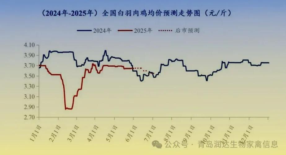 2025年肉鸡价格会涨还是跌？-图2