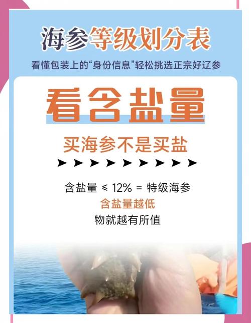 霞浦海参2025年价格会涨还是跌?-图3 霞浦海参2025年价格会涨还是跌?-图3