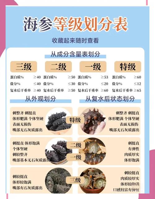 霞浦海参2025年价格会涨还是跌?-图2 霞浦海参2025年价格会涨还是跌?-图2