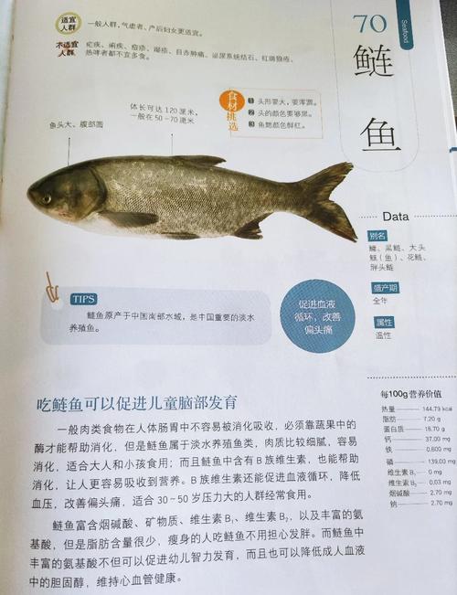 鲢鱼养殖技术及病害防治关键要点有哪些？-图2