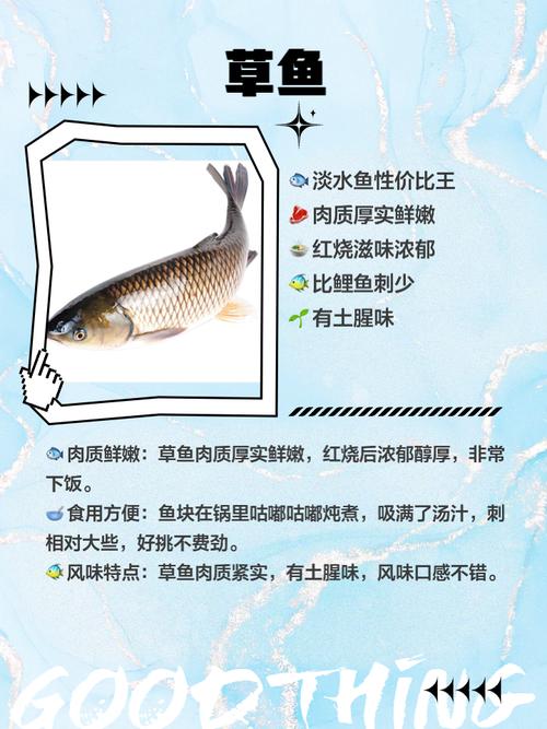 鲢鱼养殖技术及病害防治关键要点有哪些？-图3