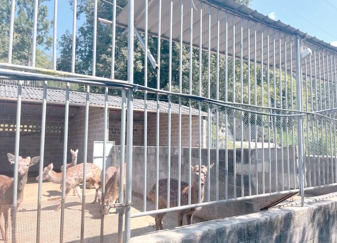 最新鹿舍建设技术图解,关键要点有哪些?-图1 最新鹿舍建设技术图解,关键要点有哪些?-图1