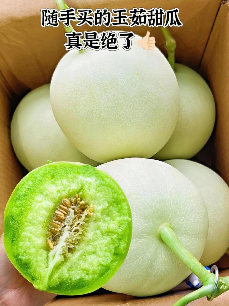 最新甜瓜品种是哪个?-图3 最新甜瓜品种是哪个?-图3