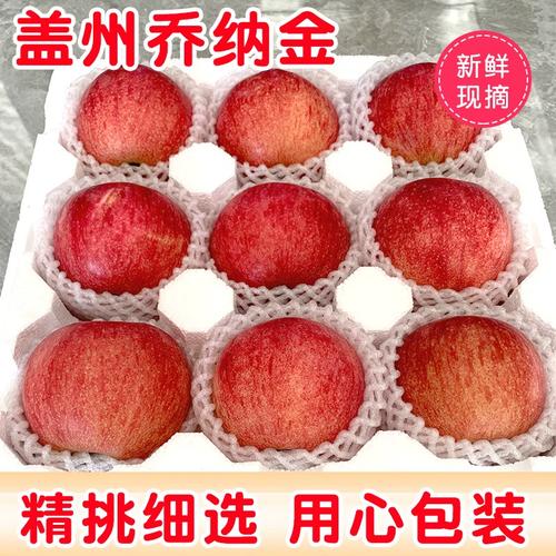 乔纳金苹果修剪有哪些关键技巧?-图2 乔纳金苹果修剪有哪些关键技巧?-图2