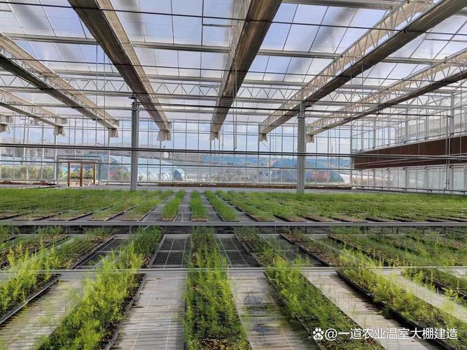 农广天地致富种植技术有哪些?-图1 农广天地致富种植技术有哪些?-图1