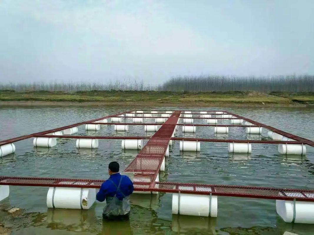 安徽网箱养殖技术培训，如何提升养殖效益？-图2