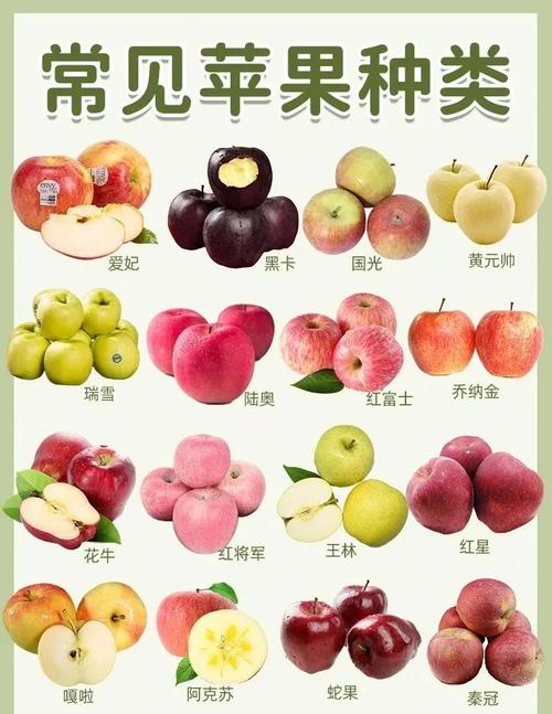 当前哪些水果品种种植效益好？-图1