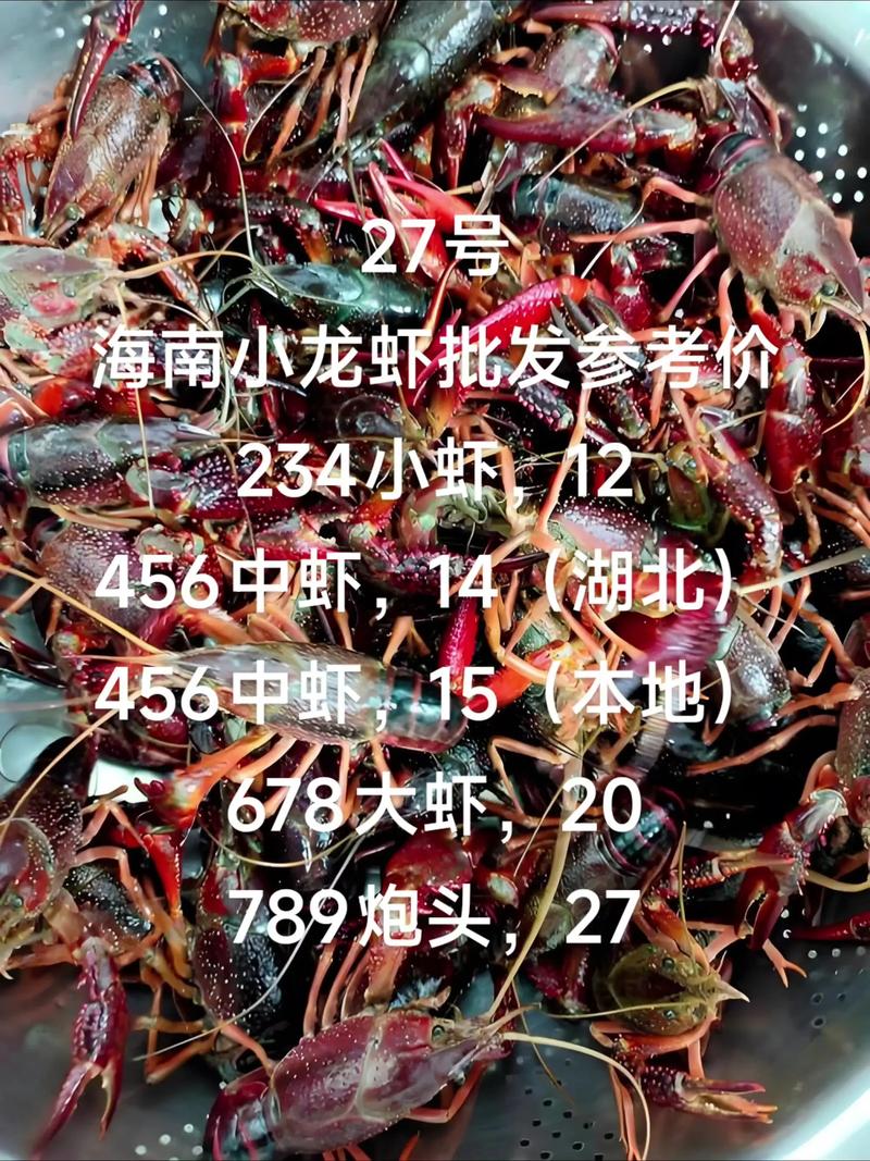 2025小龙虾市场价格会涨还是跌？-图3