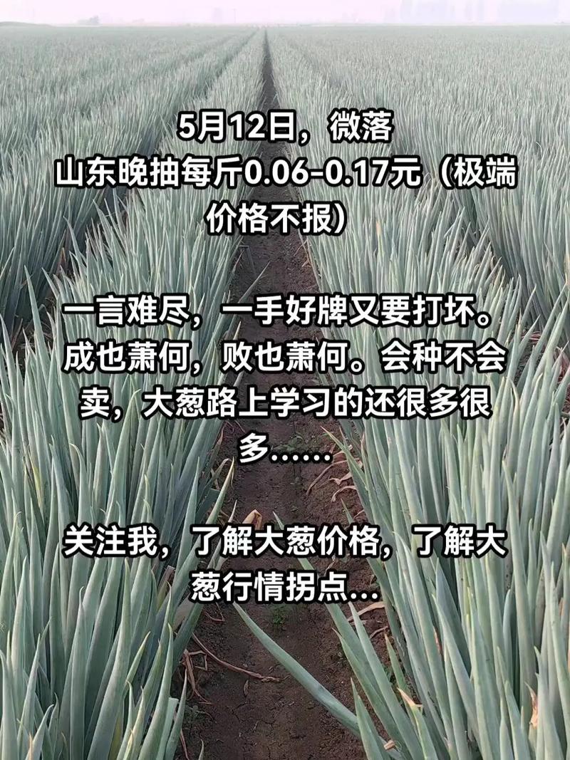 2025年大葱价格会涨还是会跌？-图2