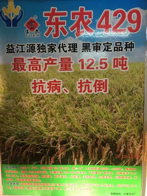 2025建三江水稻价格会涨还是跌？-图3