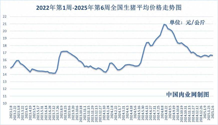 2025年猪肉价格会涨还是会跌？影响价格的关键因素有哪些？-图1