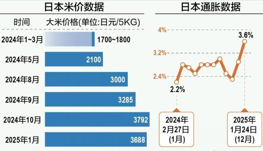 2025年大米价格会涨还是跌？影响价格的关键因素有哪些？农民和消费者该如何应对？-图3