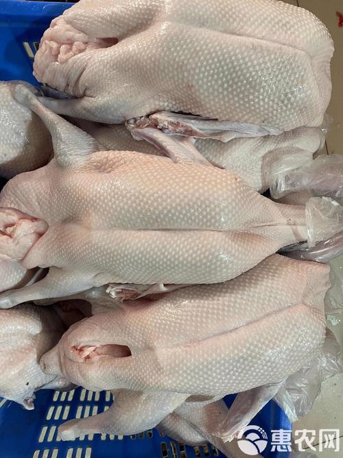 广东养殖的鹅品种有哪些？哪些是当地特色或优势品种？-图3