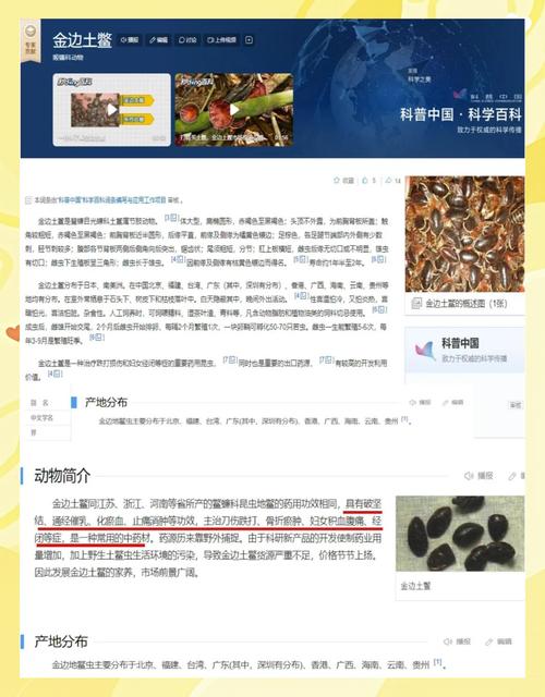 什么品种的土元价值高-图3 什么品种的土元价值高-图3