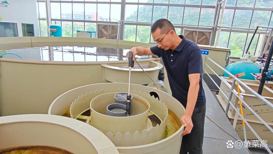 水产活饵料培育新技术有哪些突破点?如何提升培育效率与饵料营养价值?-图3 水产活饵料培育新技术有哪些突破点?如何提升培育效率与饵料营养价值?-图3