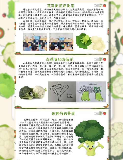 花菜种植从育苗到采收的全套技术视频,如何掌握关键步骤实现高产优质?-图3 花菜种植从育苗到采收的全套技术视频,如何掌握关键步骤实现高产优质?-图3