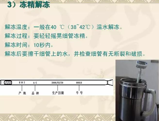 母牛人工受精技术如何操作？关键步骤与成功要点有哪些？-图2