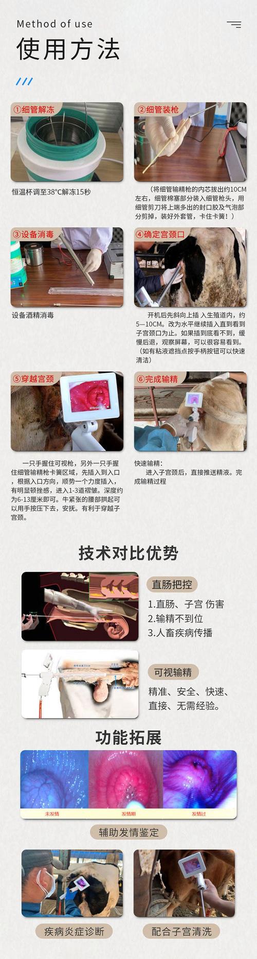 母牛人工受精技术如何操作?关键步骤与成功要点有哪些?-图1 母牛人工受精技术如何操作?关键步骤与成功要点有哪些?-图1