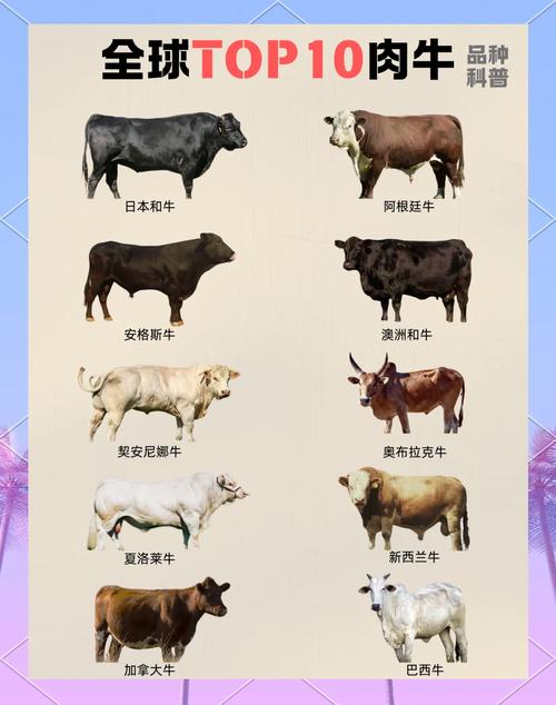 当前养牛市场,哪些品种兼具高生长速度与强抗病性,能最大化养殖利润?-图2 当前养牛市场,哪些品种兼具高生长速度与强抗病性,能最大化养殖利润?-图2