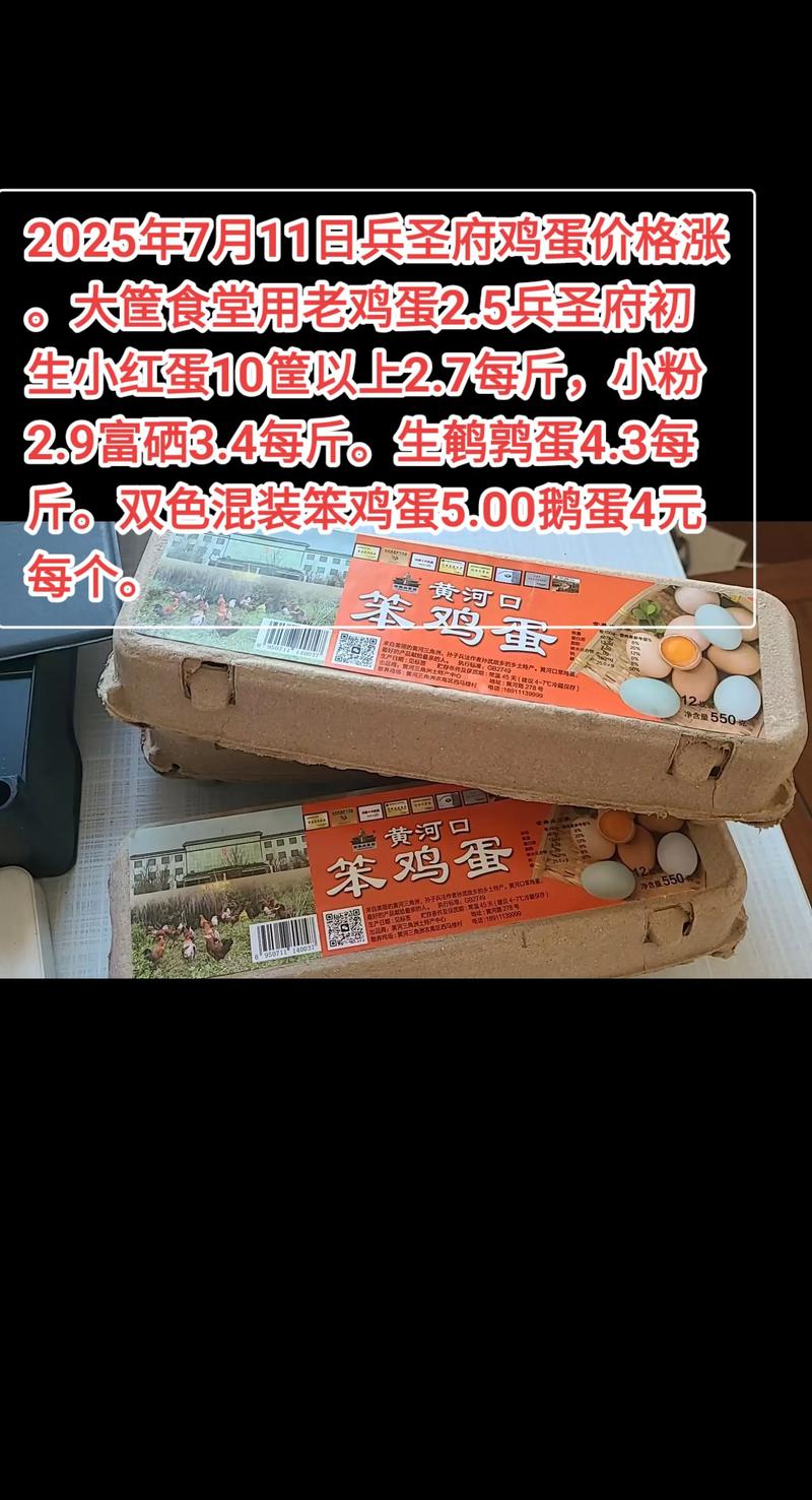2025年河南鸡蛋价格会涨还是会跌？影响价格波动的关键因素有哪些？-图3