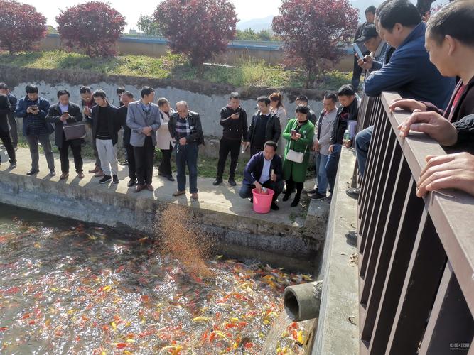 宁夏水产养殖技术培训如何赋能养殖户提升产量与效益?-图3 宁夏水产养殖技术培训如何赋能养殖户提升产量与效益?-图3