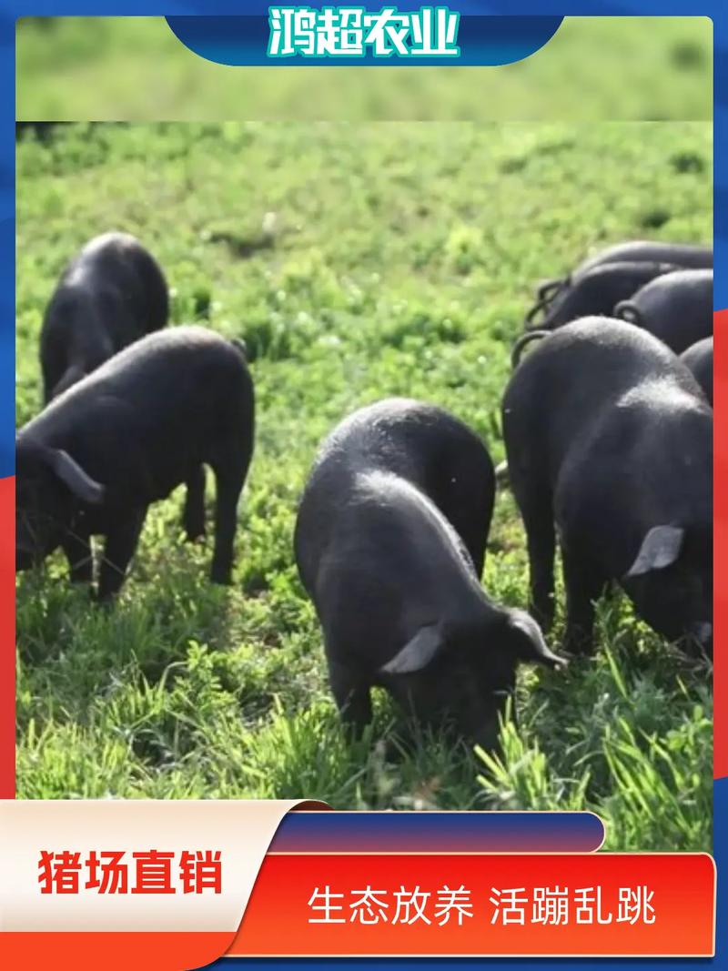 现在养殖什么新品种好?2025年有哪些新兴养殖项目值得尝试,市场前景与风险如何平衡?-图1 现在养殖什么新品种好?2025年有哪些新兴养殖项目值得尝试,市场前景与风险如何平衡?-图1