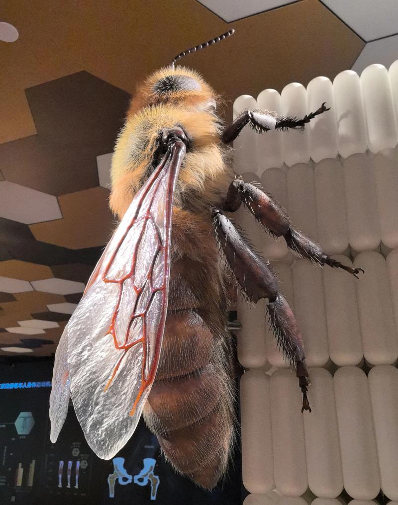 除了蜜蜂,还有哪些小型蜂类品种?它们各自的生活习性和特征有何不同?-图1 除了蜜蜂,还有哪些小型蜂类品种?它们各自的生活习性和特征有何不同?-图1