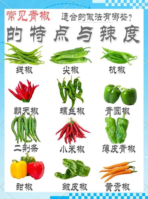 大辣椒品种繁多,如何通过图片名称快速识别并选择适合种植的品种?-图1 大辣椒品种繁多,如何通过图片名称快速识别并选择适合种植的品种?-图1