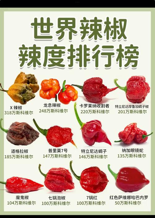 大辣椒品种繁多,如何通过图片名称快速识别并选择适合种植的品种?-图2 大辣椒品种繁多,如何通过图片名称快速识别并选择适合种植的品种?-图2