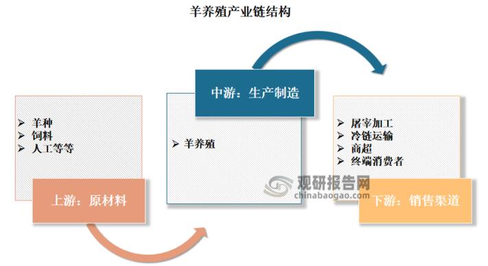 山羊与绵羊养殖技术差异大吗?如何根据品种特性优化饲养管理?-图1 山羊与绵羊养殖技术差异大吗?如何根据品种特性优化饲养管理?-图1