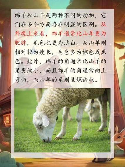 山羊与绵羊养殖技术差异大吗？如何根据品种特性优化饲养管理？-图2