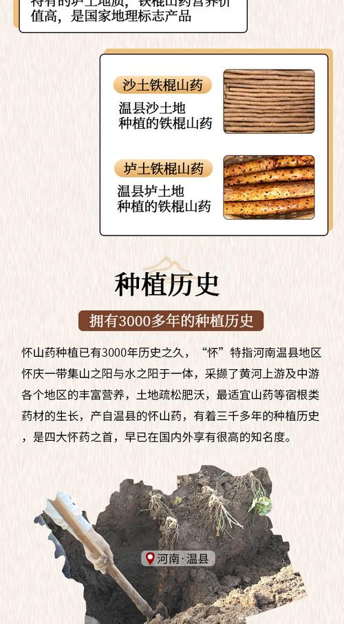 当前山药主产地价格行情如何?不同区域价格差异大吗?未来价格会涨还是跌?-图2 当前山药主产地价格行情如何?不同区域价格差异大吗?未来价格会涨还是跌?-图2