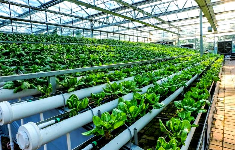 农业科技如何革新种植养殖技术？智能化与绿色化融合能否破解传统农业瓶颈？-图2