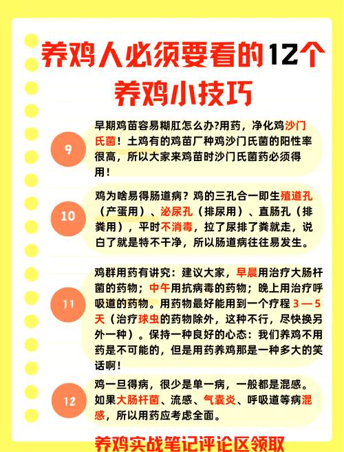 养鸡技术教学视频教程-图1