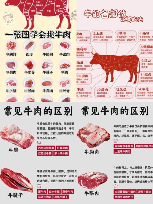 究竟哪种牛肉才是真正的顶级王者?安格斯、和牛还是其他品种?口感、营养与价格如何平衡?-图2 究竟哪种牛肉才是真正的顶级王者?安格斯、和牛还是其他品种?口感、营养与价格如何平衡?-图2