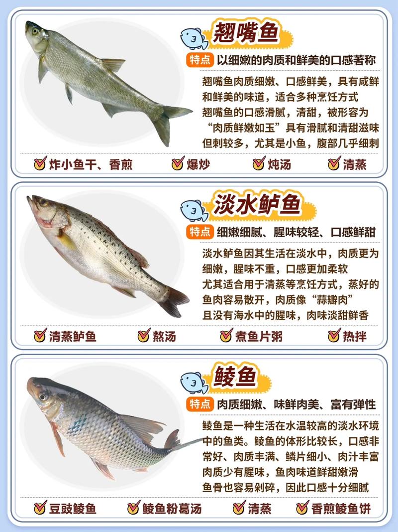 淡水鱼品种繁多，常见与特色养殖品种有哪些？不同品种的饲养难度和水质要求有何差异？-图3