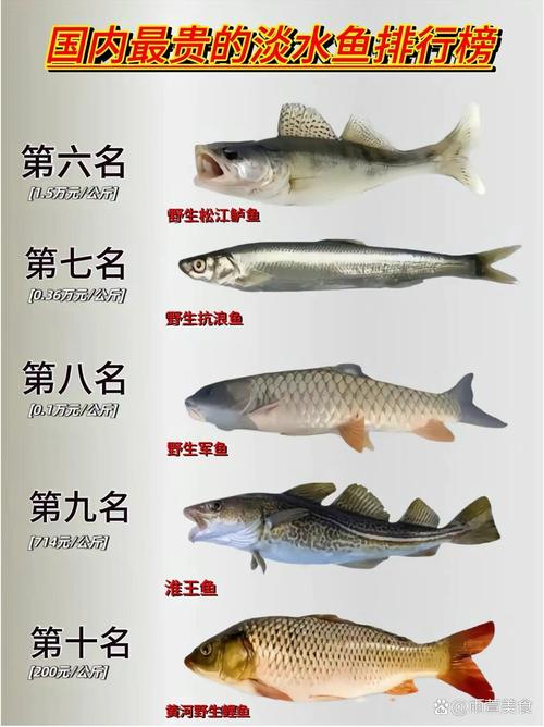 淡水鱼品种繁多，常见与特色养殖品种有哪些？不同品种的饲养难度和水质要求有何差异？-图2