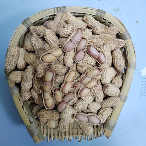 2025年河南花生价格会涨还是跌？-图3