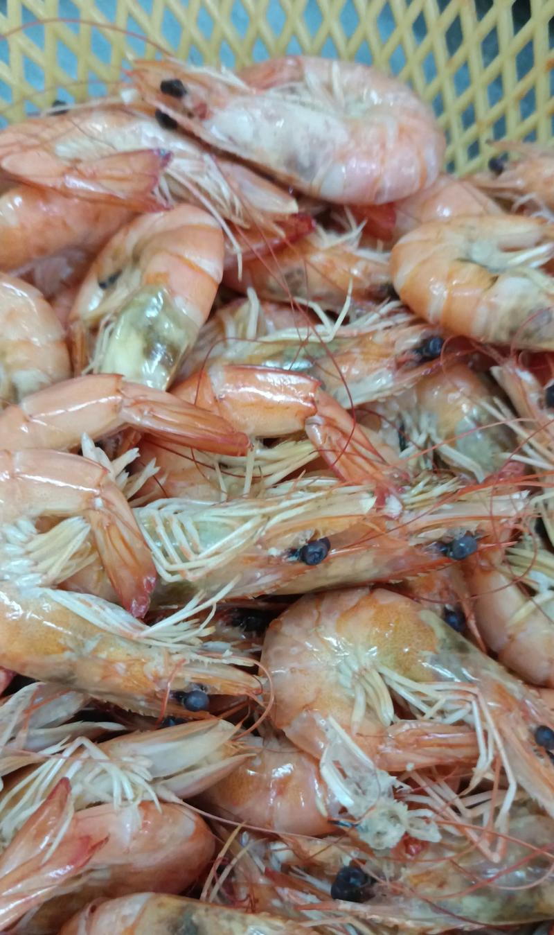 2025南美对虾价格会涨还是跌?-图2 2025南美对虾价格会涨还是跌?-图2