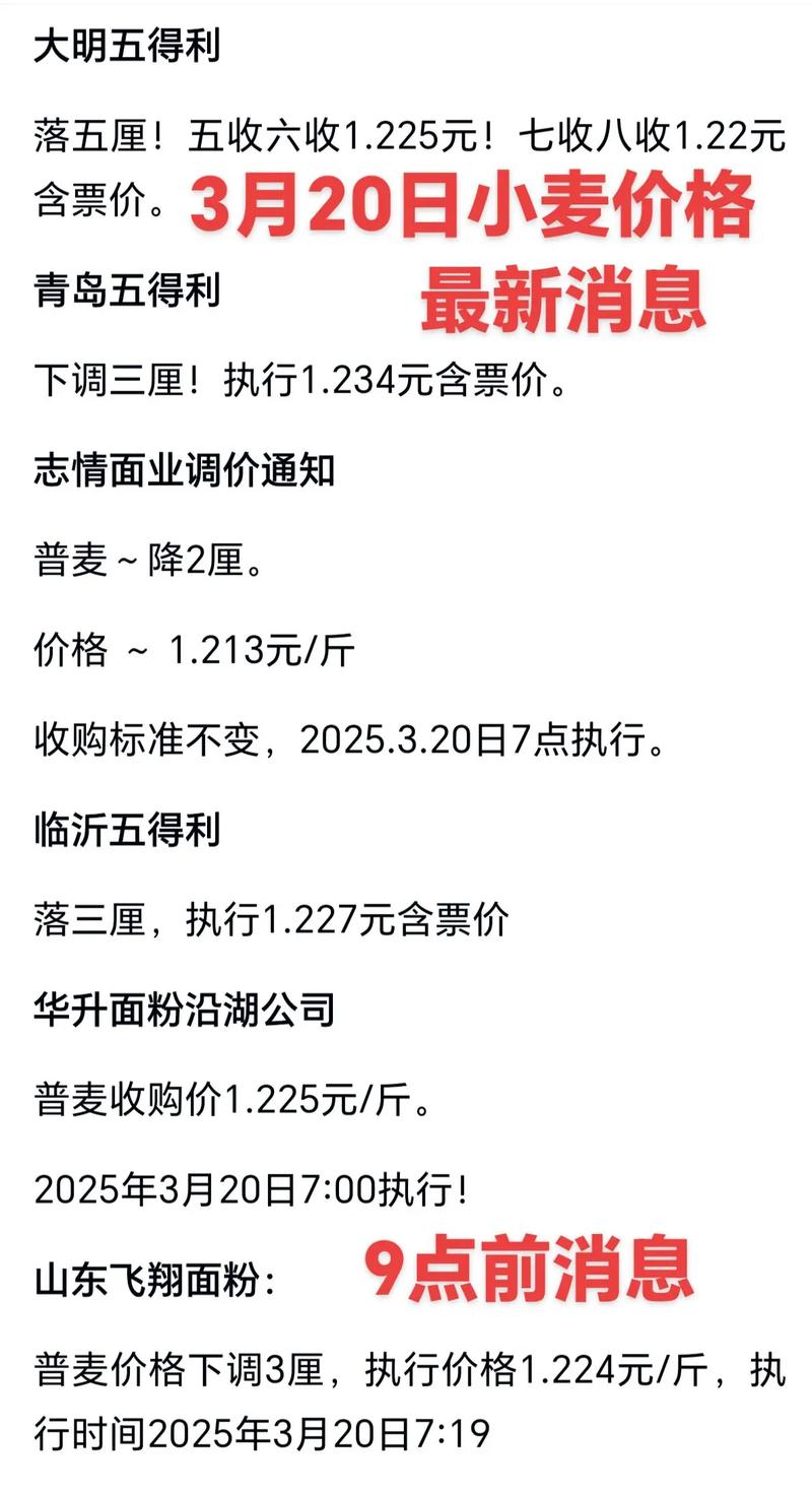 2025年河北小麦价格会涨还是跌?-图3 2025年河北小麦价格会涨还是跌?-图3