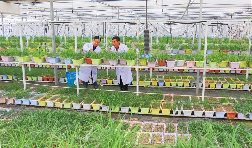 淡水养殖新品种新技术有哪些突破?-图2 淡水养殖新品种新技术有哪些突破?-图2