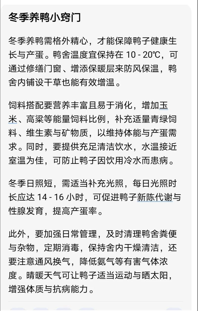 冬季肉鸭如何高效养殖?-图1 冬季肉鸭如何高效养殖?-图1