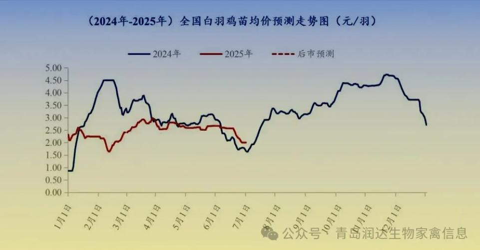 2025下半年鸡价会涨还是跌？-图3