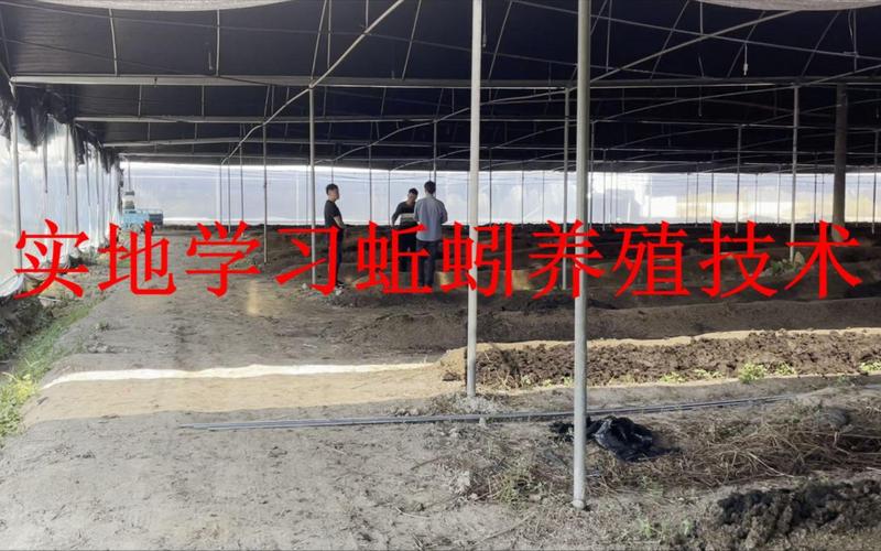 蚯蚓养殖技术怎么学?哪里能学?-图2 蚯蚓养殖技术怎么学?哪里能学?-图2