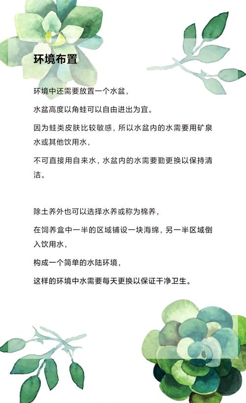 青蛙养殖技术哪里能学?-图1 青蛙养殖技术哪里能学?-图1