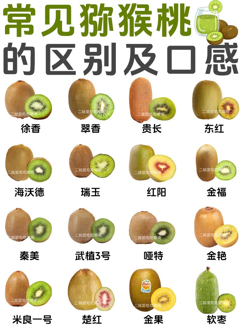 哪种猕猴桃品种最具市场前景?-图1 哪种猕猴桃品种最具市场前景?-图1