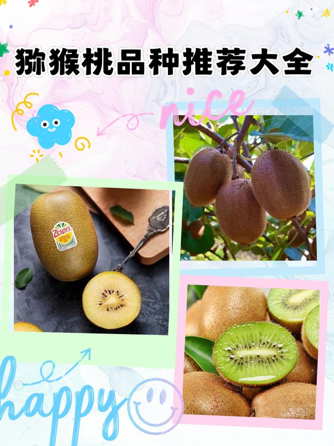 哪种猕猴桃品种最具市场前景?-图2 哪种猕猴桃品种最具市场前景?-图2